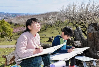 色付き始めた梅の花を写生する子どもたち＝綾部山梅林