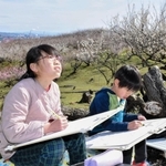 色付き始めた梅の花を写生する子どもたち＝綾部山梅林