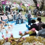 サクラが咲き始めた会場で音楽を楽しむ地元住民ら＝赤穂市尾崎