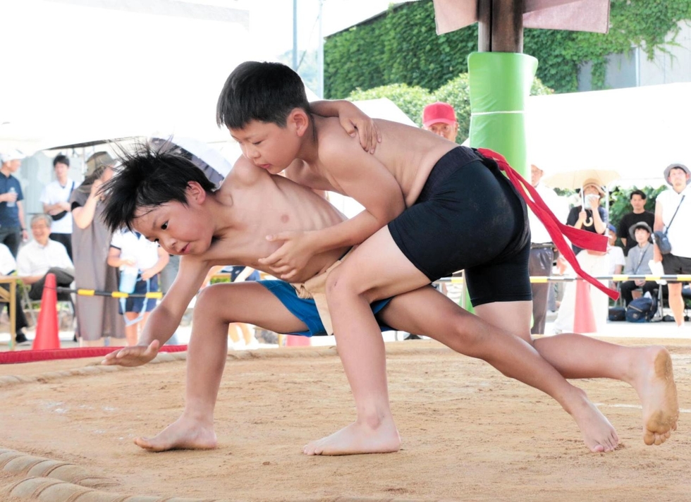 相撲フィギュア 12体セット② 相撲フィギュア 12体セット② 2025年最新】Yahoo!オークション -相撲