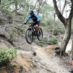 菖蒲谷森林公園の山中にあるマウンテンバイクコース。ジャンプなど難易度の高いゾーンもあり、愛好家から人気を集める＝いずれもたつの市揖西町菖蒲谷