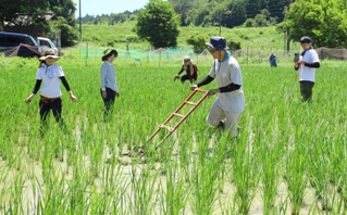 自然栽培を学びたい町内外の人が集まり、講座として耕作放棄地を田に生まれ変わらせた＝福崎町東田原