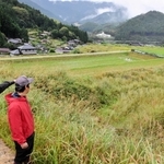 宍粟市波賀町の棚田。地域の高齢化や担い手不足で雑草が伸びた農地が増えている＝同町皆木