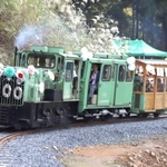 子どもらを乗せ、新路線を走る「波賀森林鉄道」＝宍粟市波賀町上野