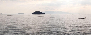 鰯浜から望む蔓島（中央）。カキ養殖用のいかだが浮かぶ＝相生市相生