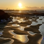 朝日を受けて輝く干潟。独特な模様が浮かび上がった＝１６日朝、たつの市御津町黒崎（ドローンで撮影）