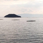 鰯浜から望む蔓島（中央）。カキ養殖用のいかだが浮かぶ＝相生市相生