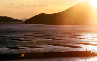 夕焼けに染まる播磨灘に浮かぶカキ養殖いかだ＝たつの市御津町から
