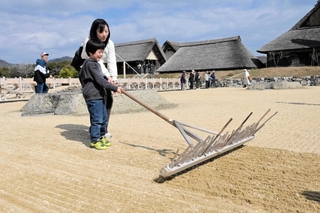 入浜式塩田での作業を体験する参加者＝赤穂市立海洋科学館・塩の国