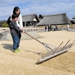 入浜式塩田での作業を体験する参加者＝赤穂市立海洋科学館・塩の国