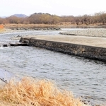 大規模な清掃作業を経た水上ステージ。後ろの中州は完成当時はほとんどなかったという＝たつの市揖保川町正條