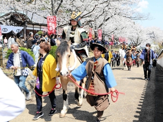 満開の桜並木が彩る城下町を進む騎馬武者＝たつの市龍野町