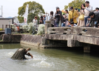 辻川山公園の池から顔を出すガジロウを見物する観光客ら＝福崎町西田原