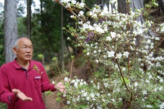ウンゼンツツジについて話す内海照也さん＝宍粟市山崎町野々上