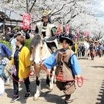 満開の桜並木が彩る城下町を進む騎馬武者＝たつの市龍野町