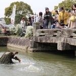 辻川山公園の池から顔を出すガジロウを見物する観光客ら＝福崎町西田原