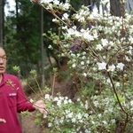 ウンゼンツツジについて話す内海照也さん＝宍粟市山崎町野々上