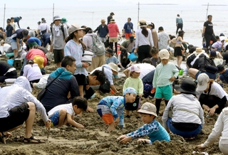 潮干狩り客でにぎわう新舞子浜＝たつの市御津町黒崎
