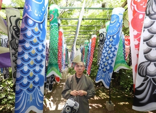 境内に飾られたこいのぼりと井上隆快住職＝光明寺