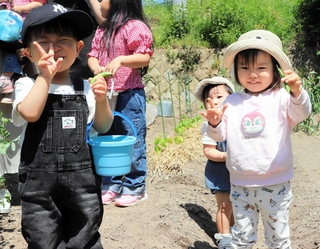 まちの子育てひろばで収穫体験を楽しむ子どもたち。ボランティアの農園に招かれた＝相生市内（同市社会福祉協議会提供）