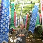 境内に飾られたこいのぼりと井上隆快住職＝光明寺
