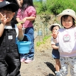 まちの子育てひろばで収穫体験を楽しむ子どもたち。ボランティアの農園に招かれた＝相生市内（同市社会福祉協議会提供）