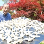 自宅庭を「折り紙フリーガーデン」として開放する三木豊さん。四季の自然とともに創作が楽しめる＝相生市旭３