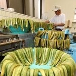 ざるの縁で円状に干されているキュウリ＝宍粟市山崎町生谷