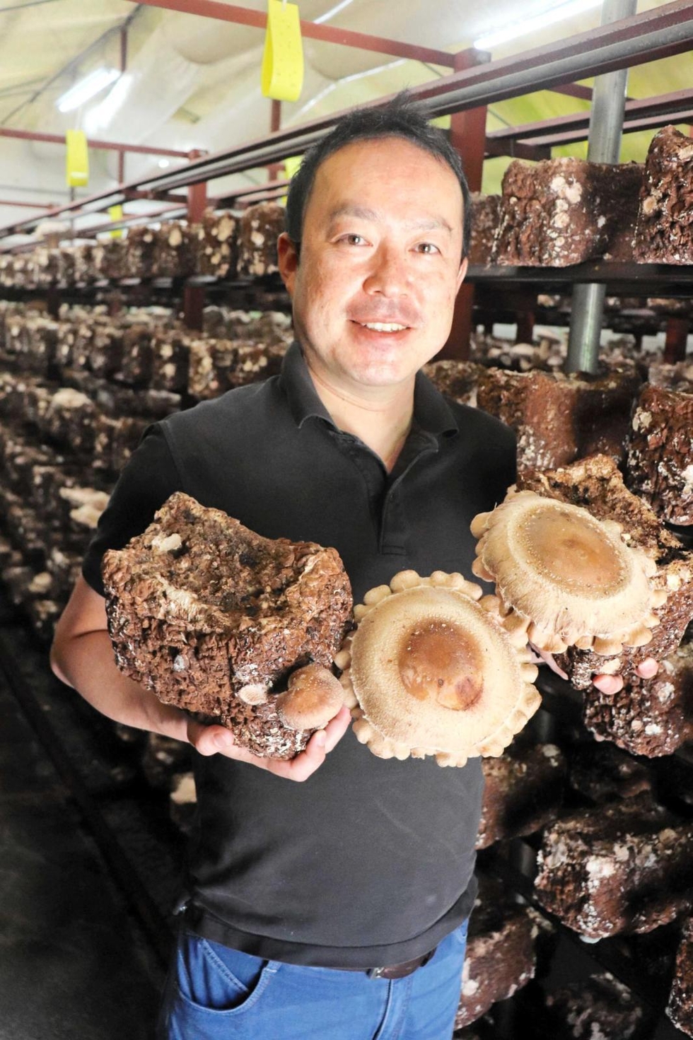 播磨びと＞伝統と革新で逸品届け シイタケ栽培会社社長・深山陽一朗