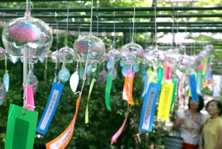 境内で涼しげな音色を響かせる風鈴＝佐用町平福、光明寺