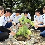 植樹したミモザに水をやる赤穂高校生＝赤穂市尾崎