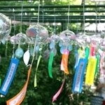 境内で涼しげな音色を響かせる風鈴＝佐用町平福、光明寺