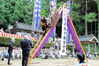 獅子が約５メートルの高さまで駆け上がる「梯子」＝宍粟市山崎町宇原、岩田神社