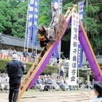獅子が約５メートルの高さまで駆け上がる「梯子」＝宍粟市山崎町宇原、岩田神社