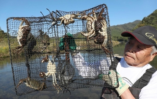 籠いっぱいに入ったモクズガニを掲げる高階富造さん＝宍粟市山崎町内
