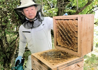 巣箱を確認する竹下誠次朗さん＝赤穂市尾崎