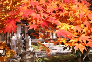 モミジが色づいた聚遠亭の庭園。振り袖姿で成人式の前撮りをする人が次々と訪れた＝たつの市龍野町