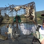 籠いっぱいに入ったモクズガニを掲げる高階富造さん＝宍粟市山崎町内