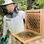 巣箱を確認する竹下誠次朗さん＝赤穂市尾崎