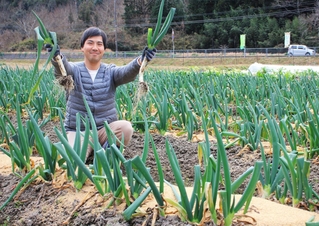 とろける食感と甘みが楽しめるまちこネギ＝市川町上牛尾