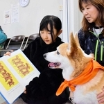 犬に絵本を読み聞かせる児童＝たつの市龍野町本町