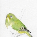 繊細な筆致、温もりと優しさと　51歳で乳がんで死去、上郡の美術家米田桂子さん　6日から神戸で遺作展