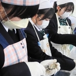 カキの殻むきを体験する生徒ら＝双葉中学校