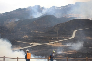 山焼きを終え、焦げ茶色になった砥峰高原＝神河町川上