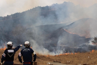 パチパチと音を立てながら枯れ草を焼き尽くす炎＝神河町川上、砥峰高原