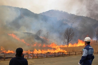 パチパチと音を立てながら枯れ草を焼き尽くす炎＝神河町川上、砥峰高原