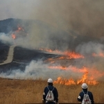 パチパチと音を立てながら、枯れ草を焼き尽くす炎＝神河町川上、砥峰高原