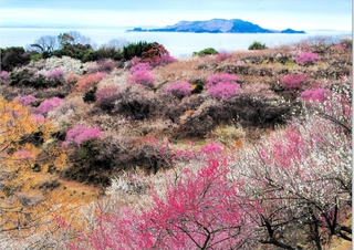 「推薦」に選ばれた白滝博昭さんの作品