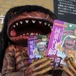 自身がパッケージデザインになったハードグミ「河童めし鋼」をＰＲするガジロウ＝福崎町南田原