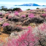 「推薦」に選ばれた白滝博昭さんの作品